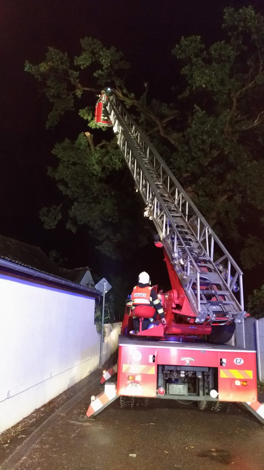 Spadlý strom, Týn nad Vltavou - 23. 9. 2018 (7).jpg