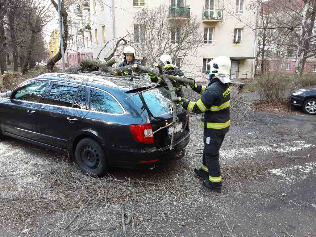 Spadlý strom v Mostě v ulici J. Skupy