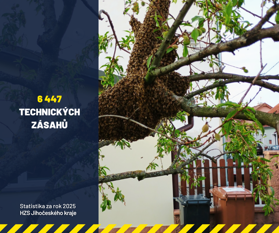 Statistika za rok 2025 (6).png