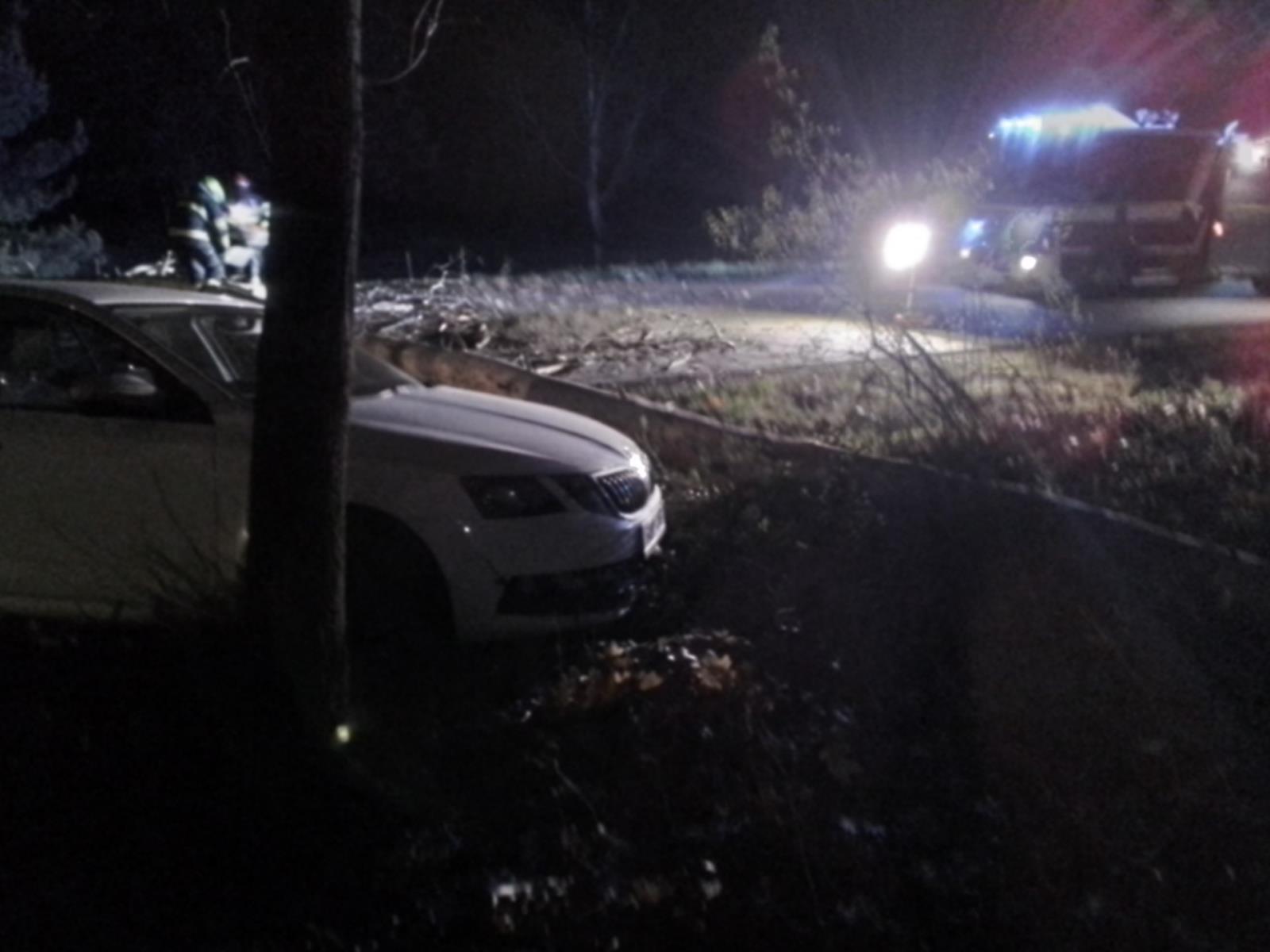 Strom přes cestu Lázně Bohdaneč