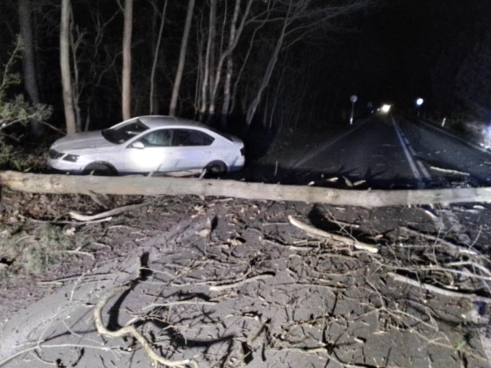 Strom přes cestu Lázně Bohdaneč
