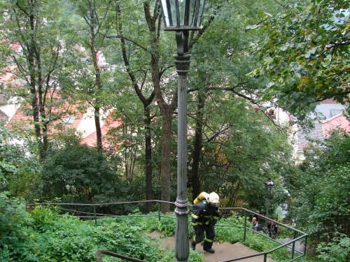 TFA2014_tratStramberk (NJ) (6).JPG