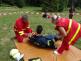 TFAFrenstatskymamut2015_mustek (15)