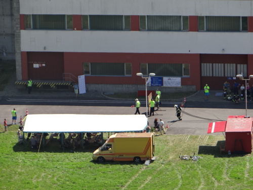 TFAHartaman2017_peku (3).JPG