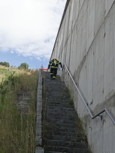 TFAHartaman2017_peku (8).JPG