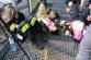 TFAOstravskavez2019_hasicky (13)