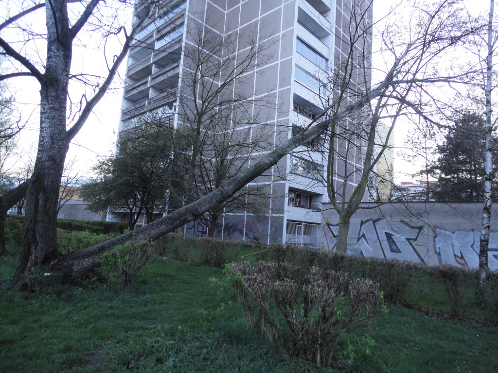 TP, HK Jungmannova.JPG