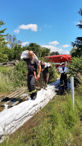 TP Borohrádek (1).jpg