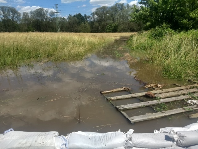 TP Borohrádek (3).jpg