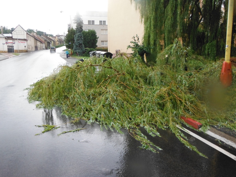 TP Hořice, Riegrova.JPG