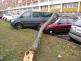 TP Hradec Králové (2)