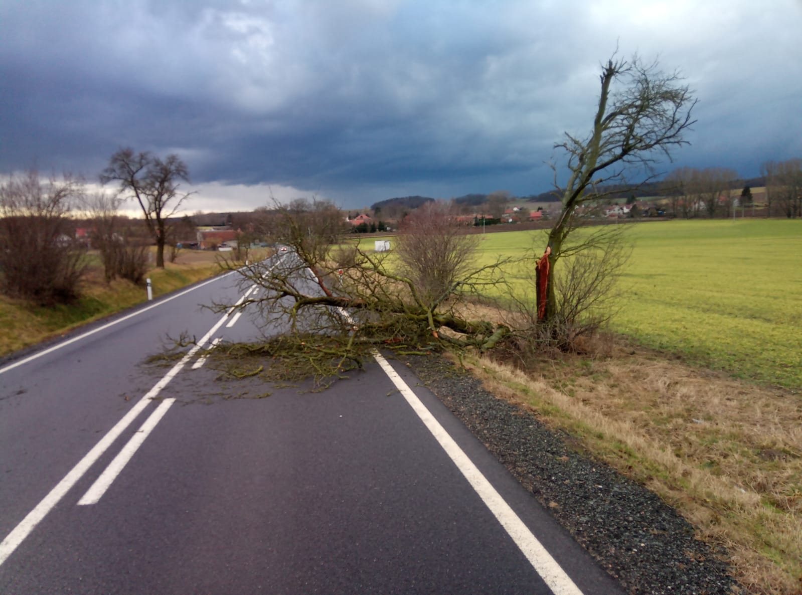 TP Hradecko (2).jpeg