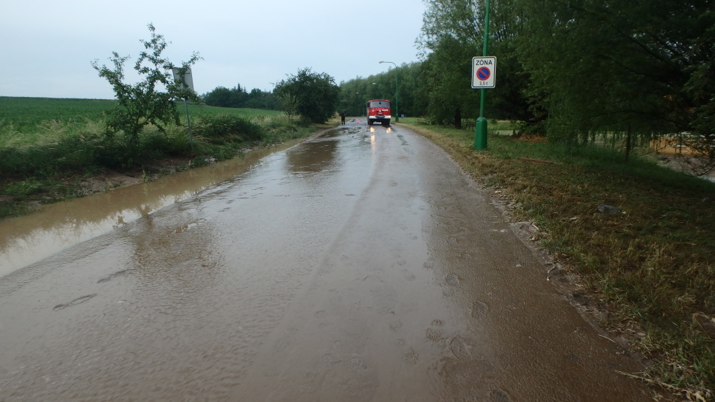 TP Kladruby (1).JPG