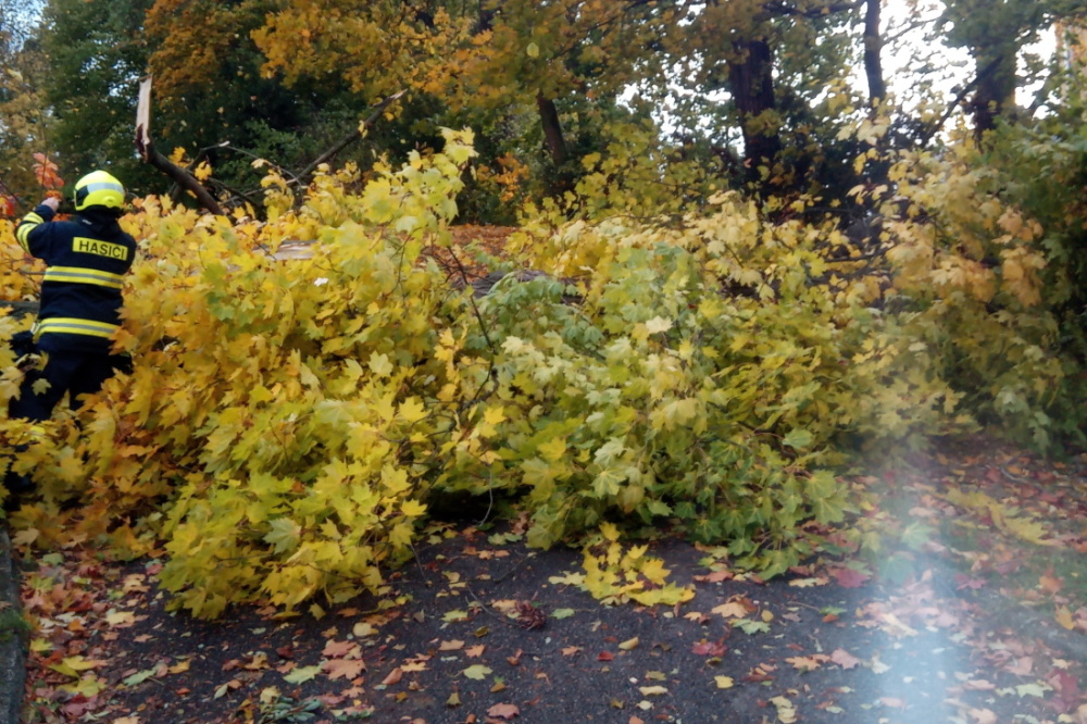 TP Kostelec nad Orlicí (2).jpg