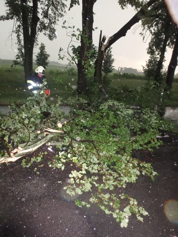 TP - N. Bydžov, Metličany.JPG