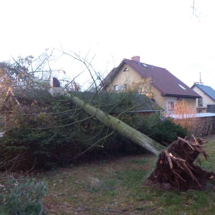TP Nová Paka (1).JPG
