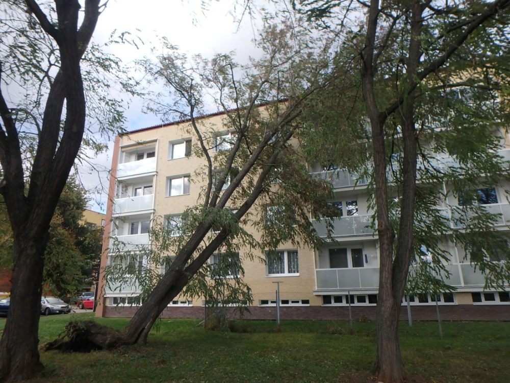 TP Nový Bydžov.JPG