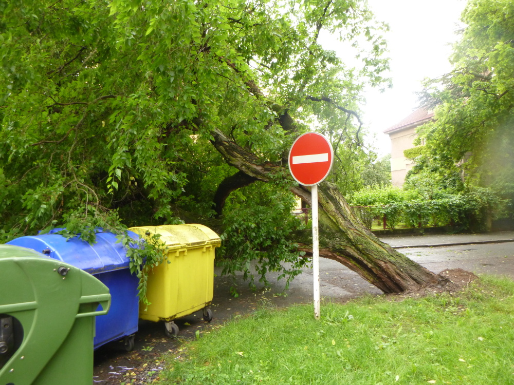 TP Strom, HK Hradební (2).JPG