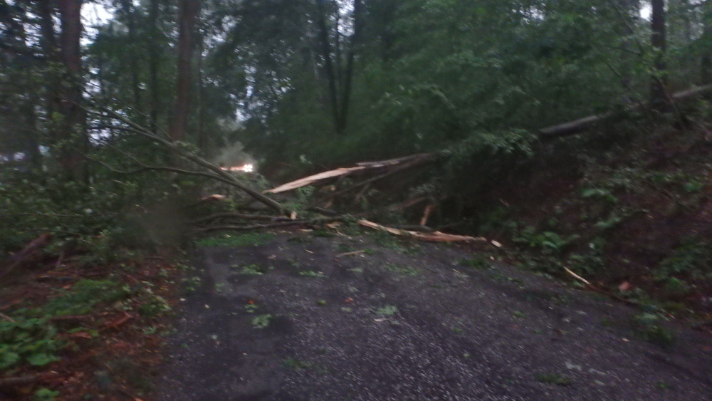 TP ok. TU - Zálesí (1).JPG