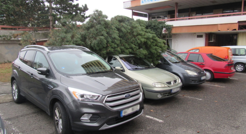 TP strom na OA, E. Beneše, HK (2).JPG