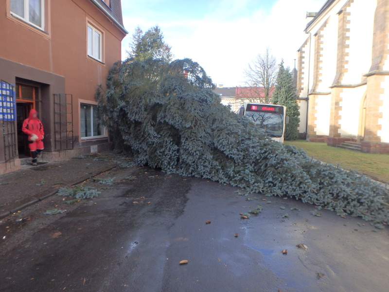 TP stromy, Trutnov (2).JPG