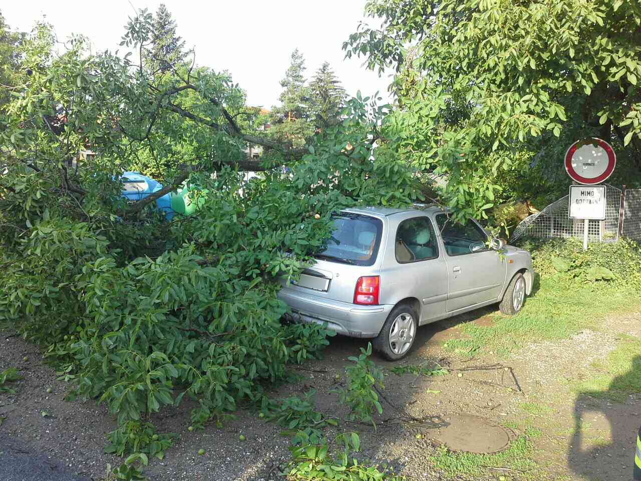 TP_bourky_OLK_10-8-2017