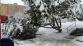 TP_hranice_2-2-2017