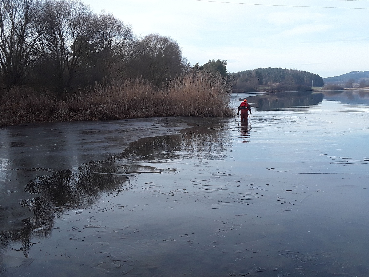 V Trnavě na Třebíčsku zachránili hasiči psa z rybníka