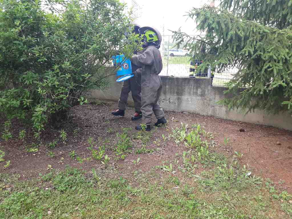 Včely Bečov (1).jpg