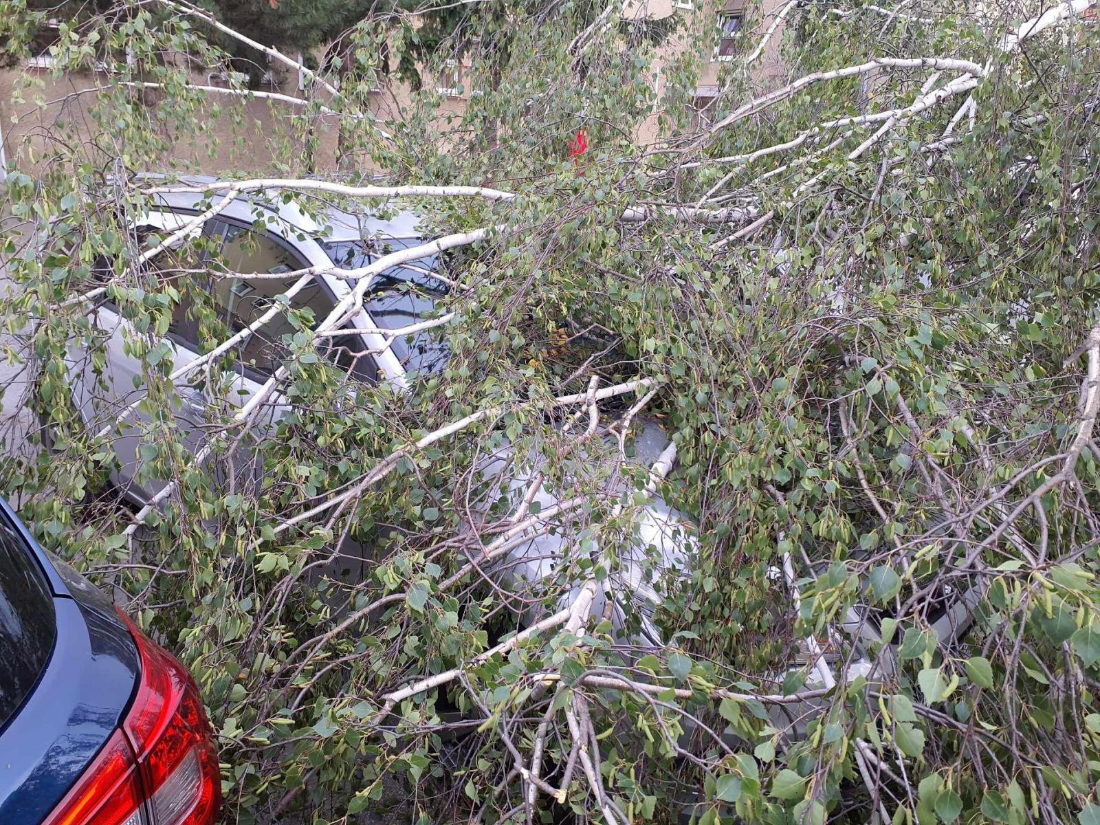 Veselí nad Moravou.jpeg