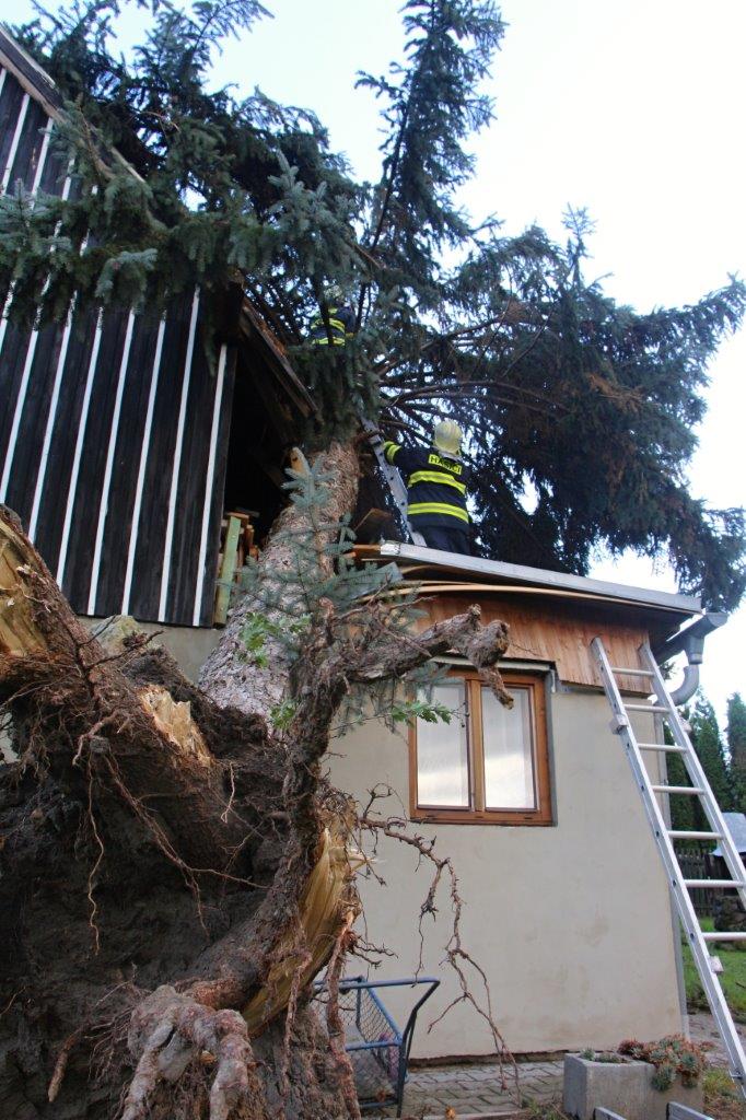 Větrná smršť Děčinsko (2).jpg