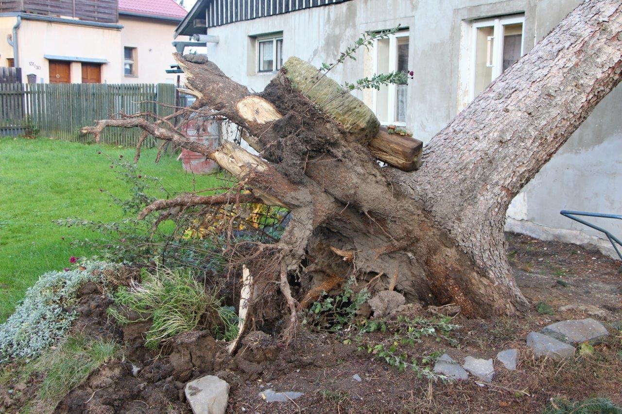 Větrná smršť Děčinsko (9).jpg