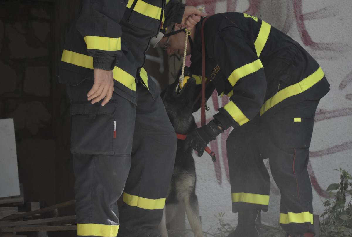 Výcvik kynologů zaměřený na sutinové vyhledávání ve výcvikovém prostoru Poštorná – Boří les