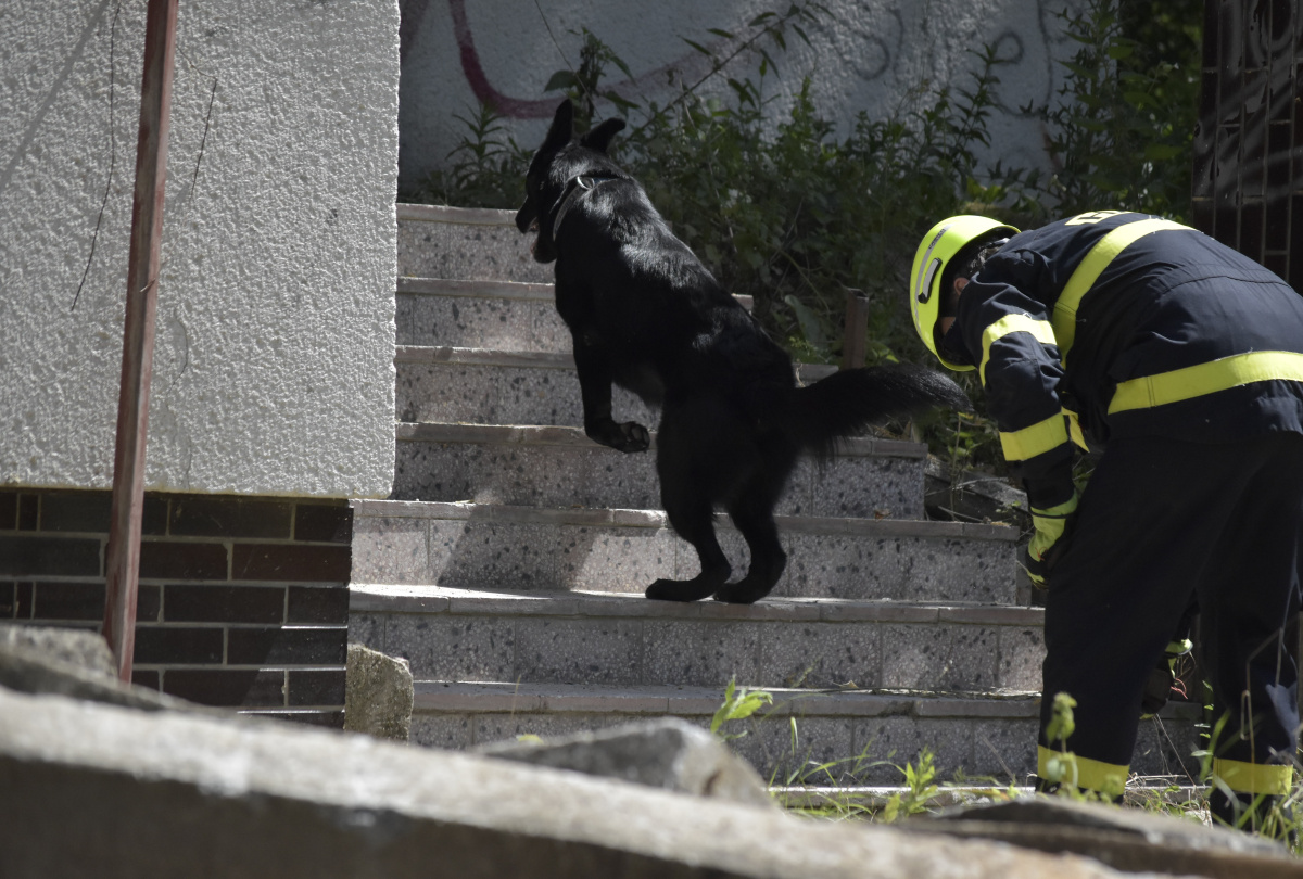Výcvik kynologů zaměřený na sutinové vyhledávání ve výcvikovém prostoru Poštorná – Boří les