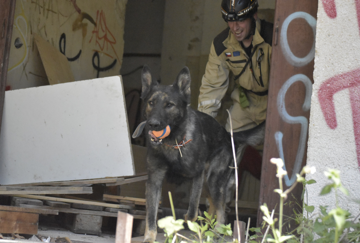 Výcvik kynologů zaměřený na sutinové vyhledávání ve výcvikovém prostoru Poštorná – Boří les