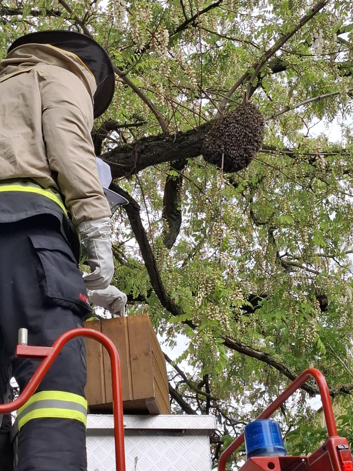 WhatsApp Image 2025-05-20 at 09.47.37 (3).jpeg