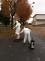 WhatsApp Image 2020-10-30 at 10.42.09