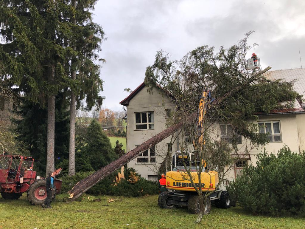 WhatsApp Image 2023-11-24 at 15.35.24(1).jpeg