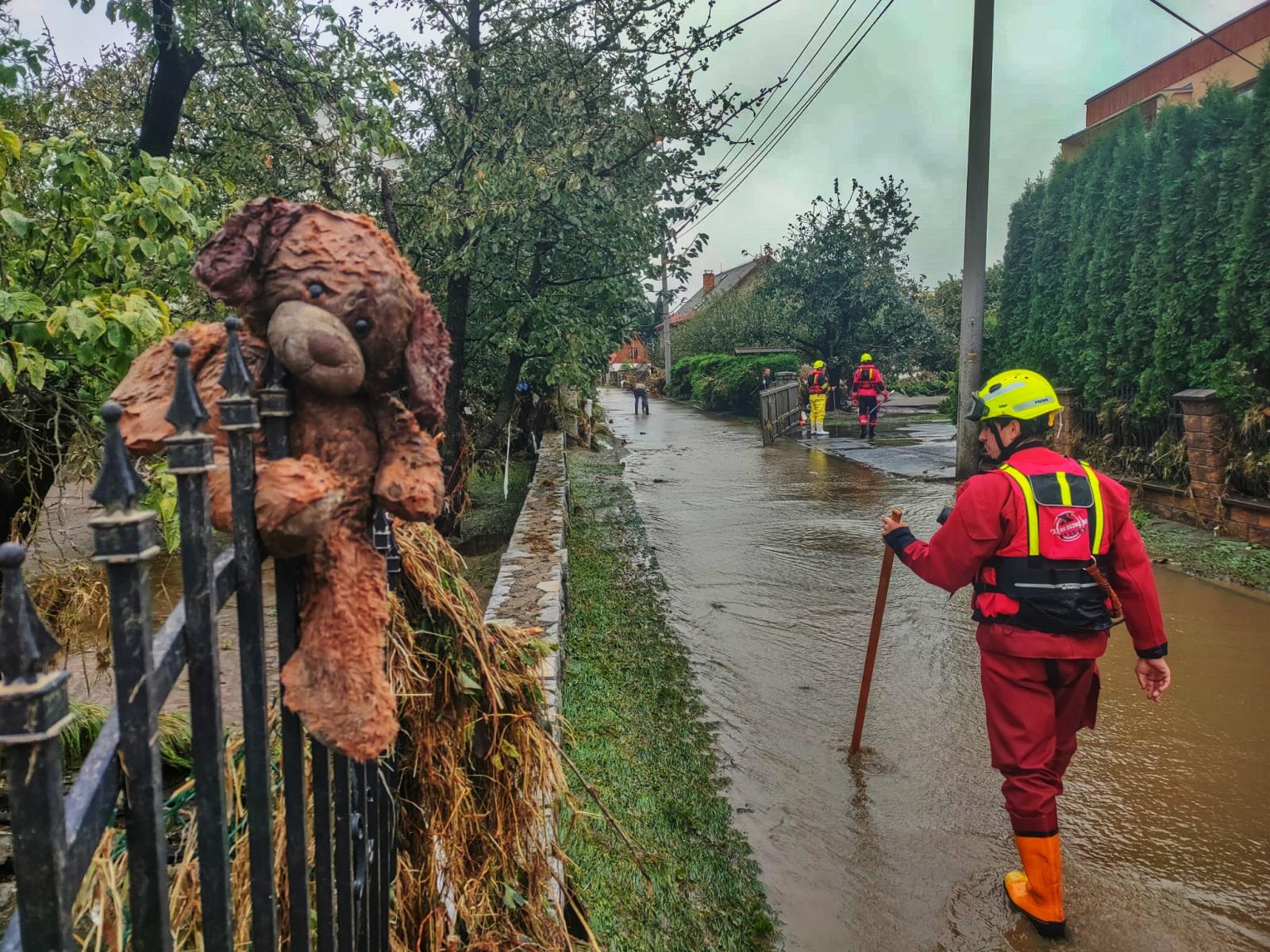 WhatsApp Image 2024-09-17 at 11.02.51.jpeg