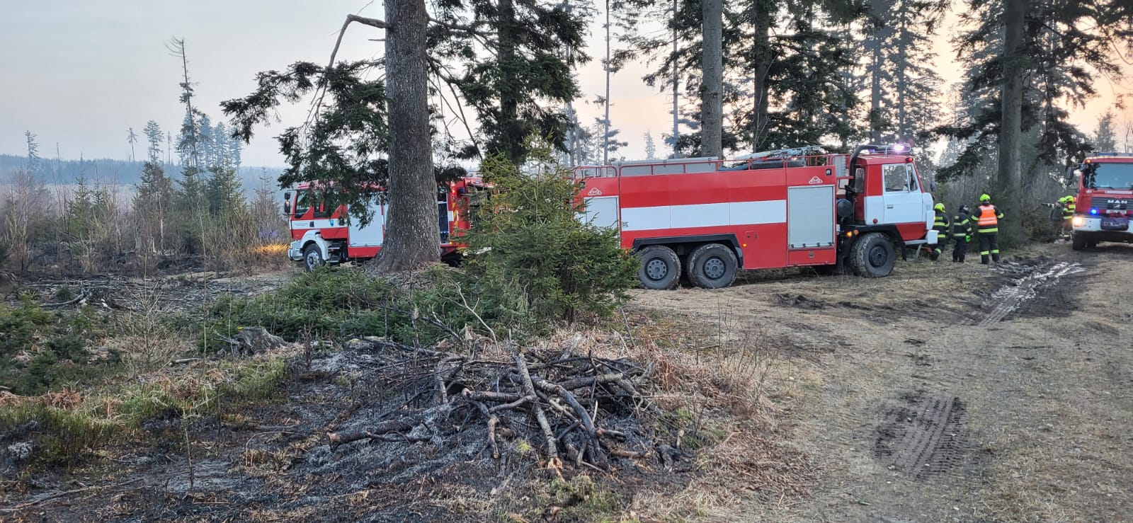 WhatsApp Image 2025-02-11 at 16.52.22(3).jpeg