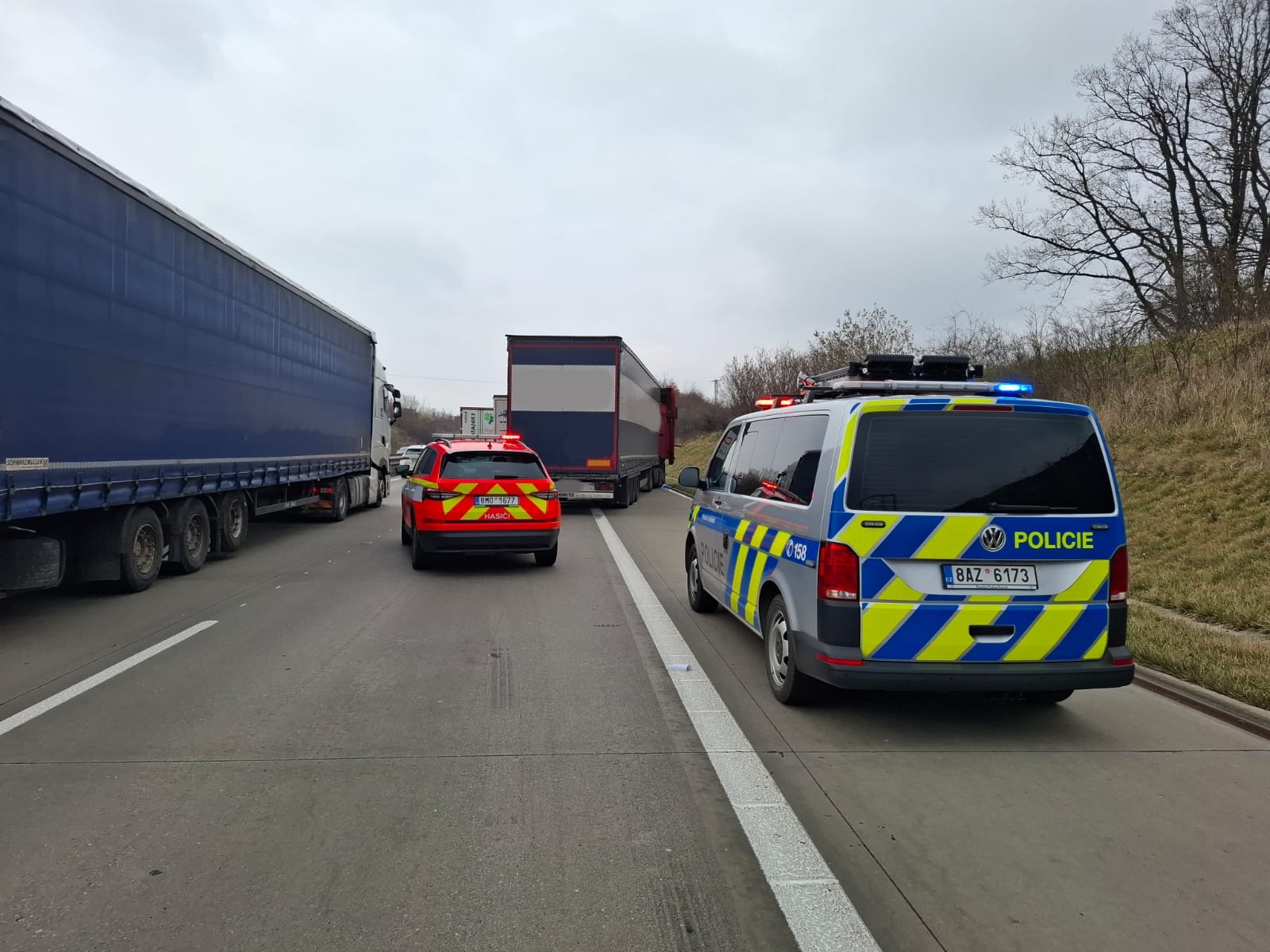 WhatsApp Image 2025-03-24 at 10.23.49(1).jpeg