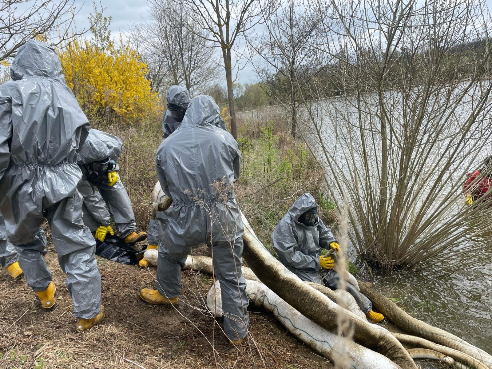 WhatsApp Image 2025-04-12 at 14.51.10(3).jpeg