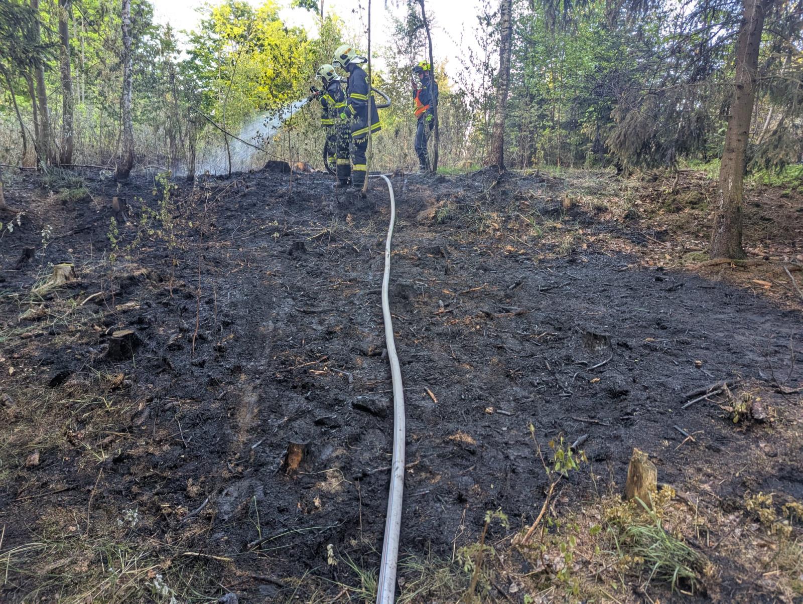 WhatsApp Image 2025-05-13 at 19.17.49.jpeg