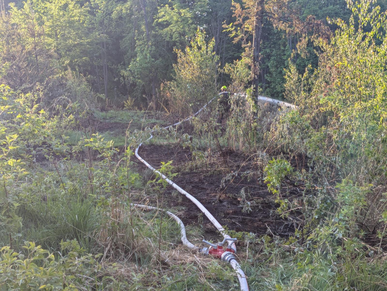 WhatsApp Image 2025-05-13 at 19.17.57.jpeg