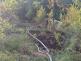 WhatsApp Image 2025-05-13 at 19.17.57