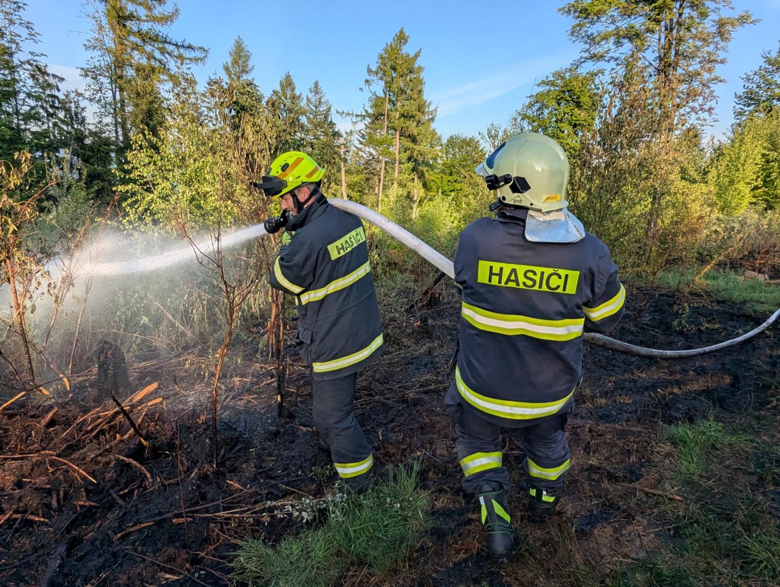 WhatsApp Image 2025-05-13 at 19.18.00(2).jpeg