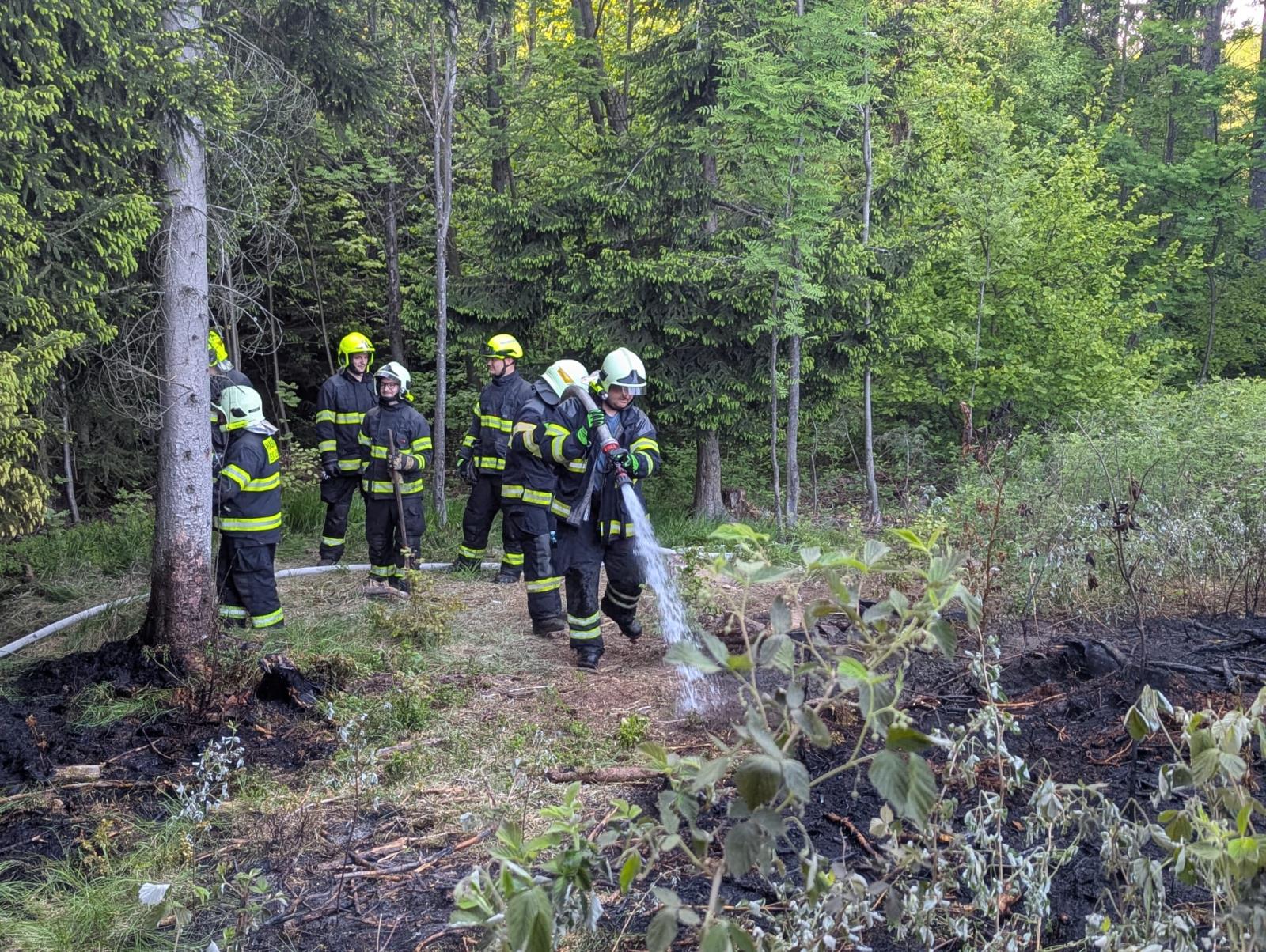 WhatsApp Image 2025-05-13 at 19.18.02.jpeg