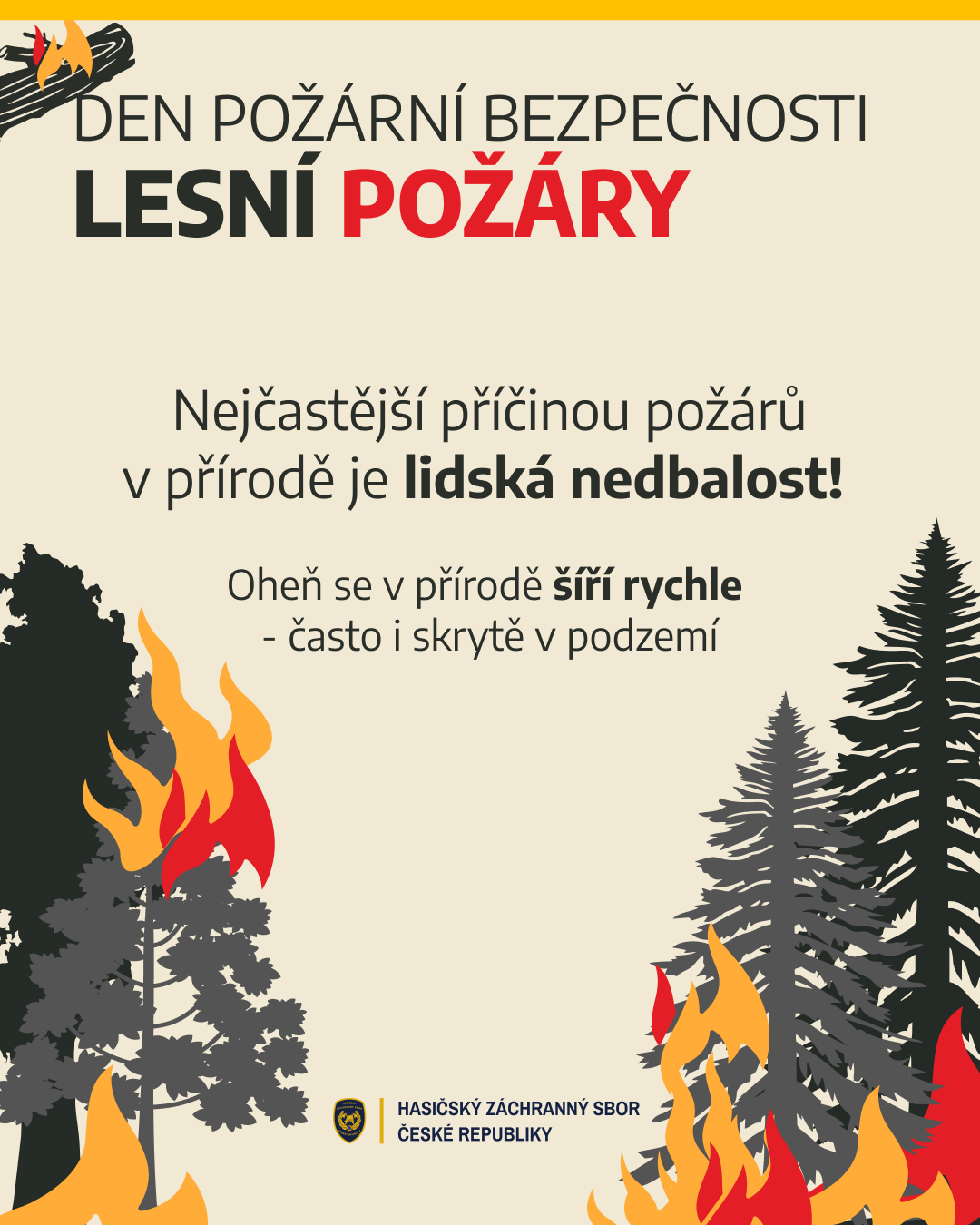 WhatsApp Image 2025-06-10 at 17.50.47.jpeg