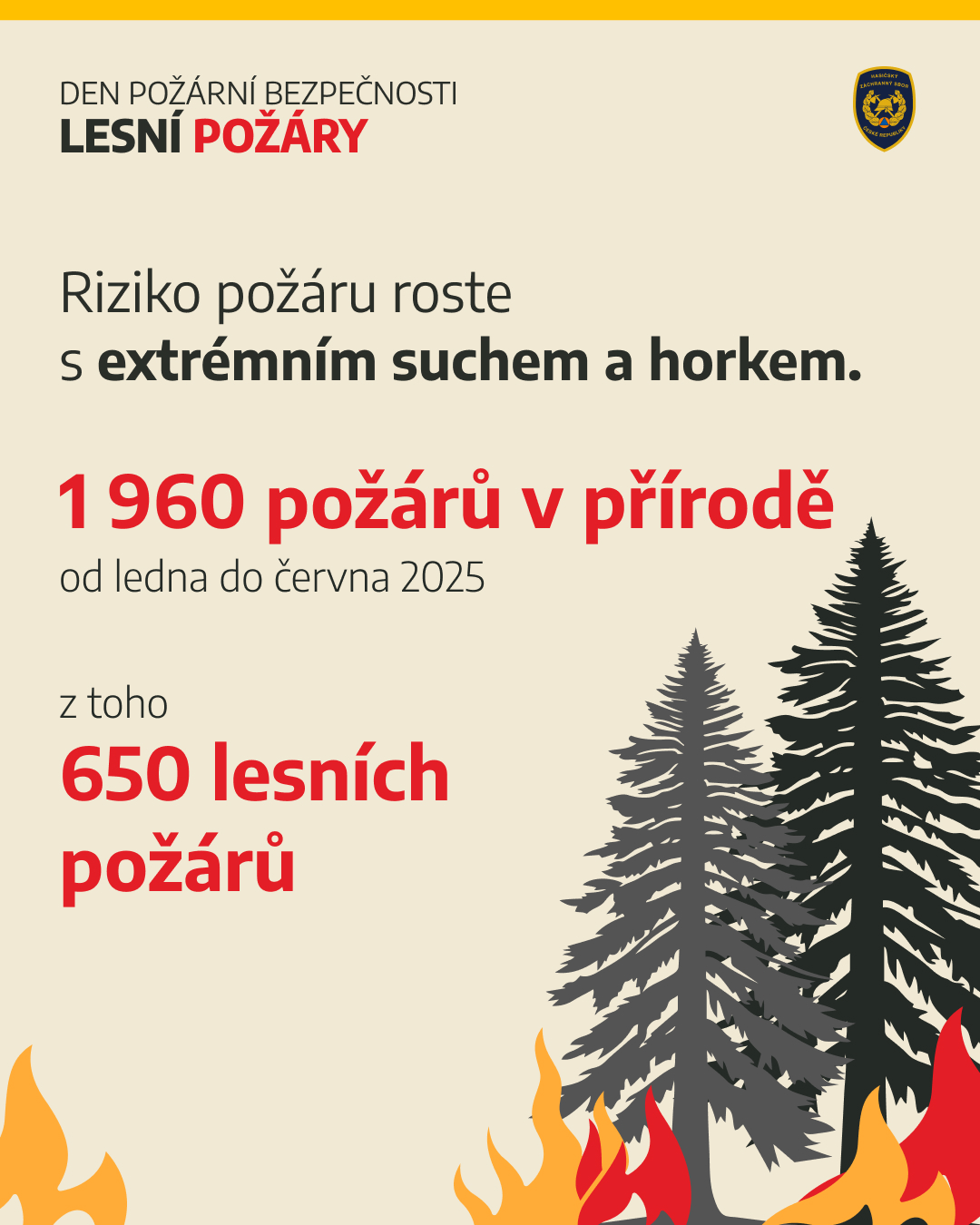 WhatsApp Image 2025-06-10 at 17.50.48.jpeg