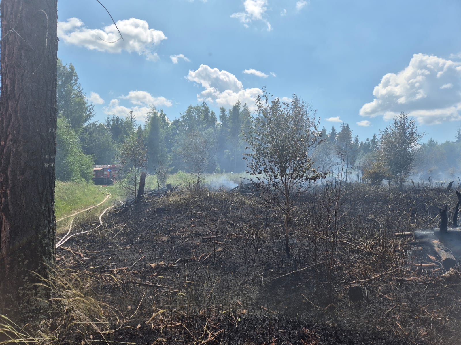 WhatsApp Image 2025-06-29 at 14.24.43(1).jpeg